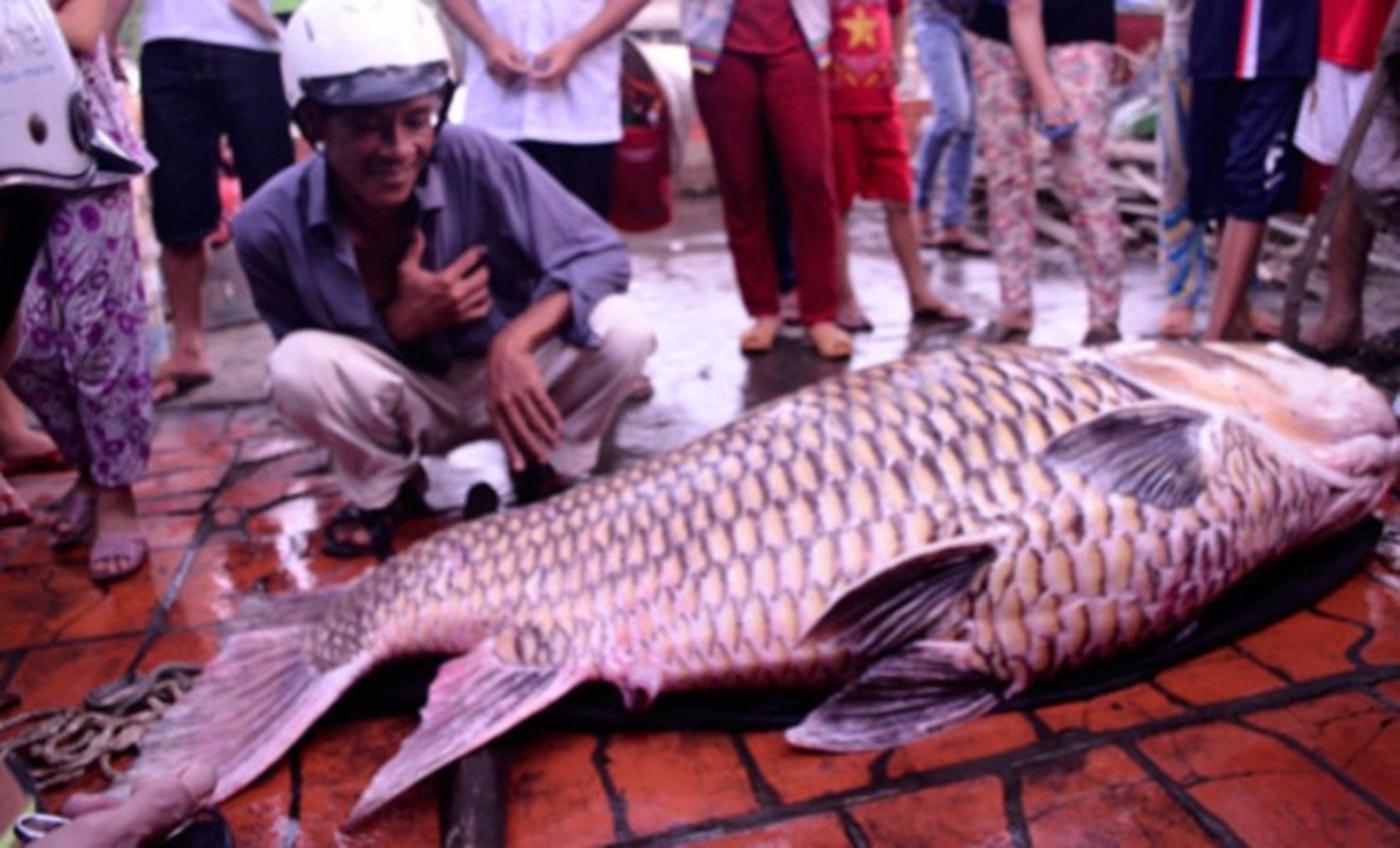 Diem danh thuy quai khong lo tung sa luoi ngu dan Viet-Hinh-4